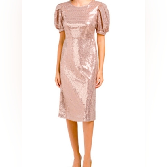 Rachel Parcell Dresses & Skirts - NWT Rachel Parcell Rose Sequin Puff Shoulder Midi Dress XS